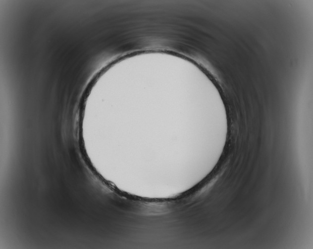 X0000086111126200704132203