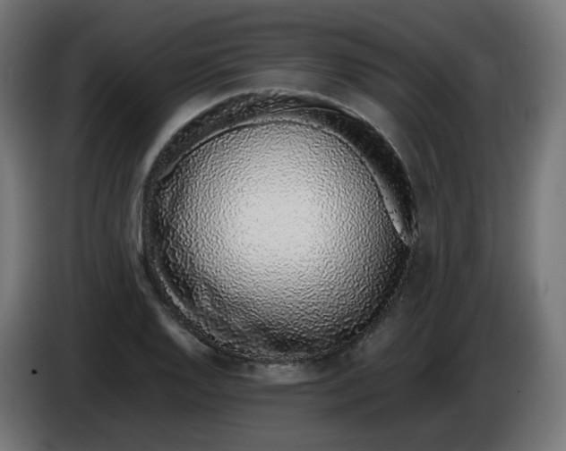 X0000086111128200704132203