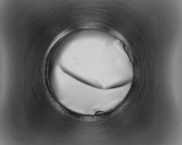 X0000086111138200704132203