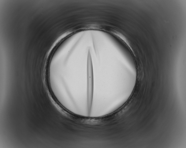 X0000086111139200704132203