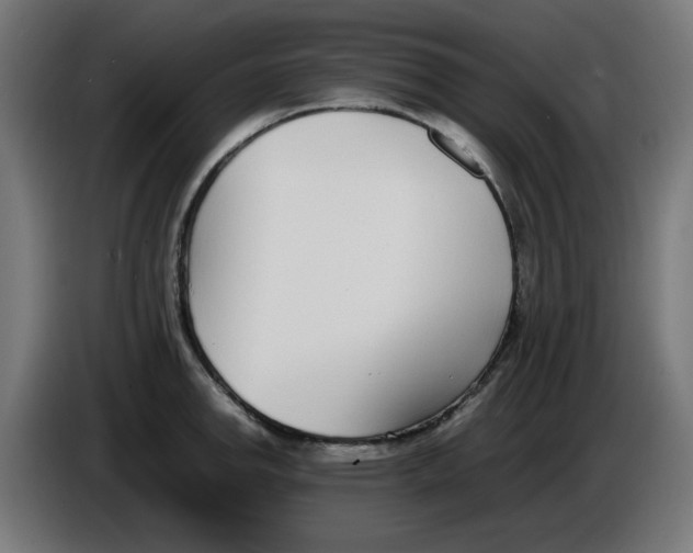 X0000086111142200704132203