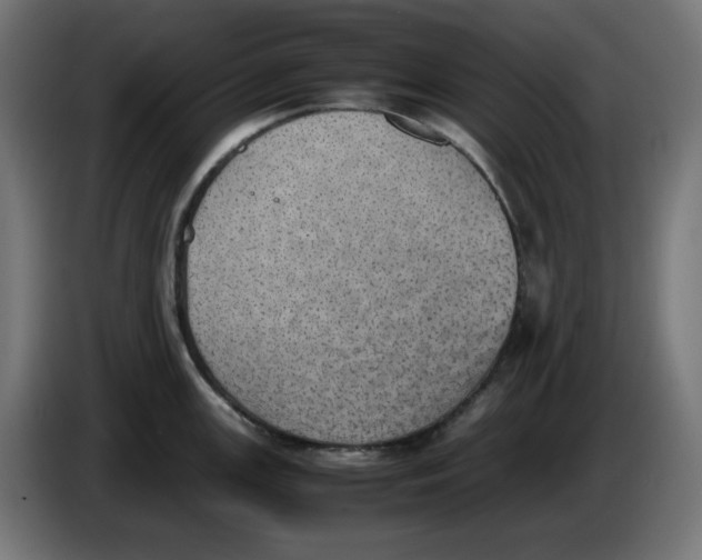 X0000086111147200704132203