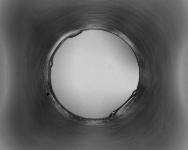 X0000086111148200704132203