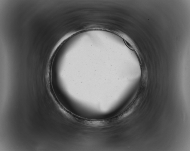 X0000086111149200704132203