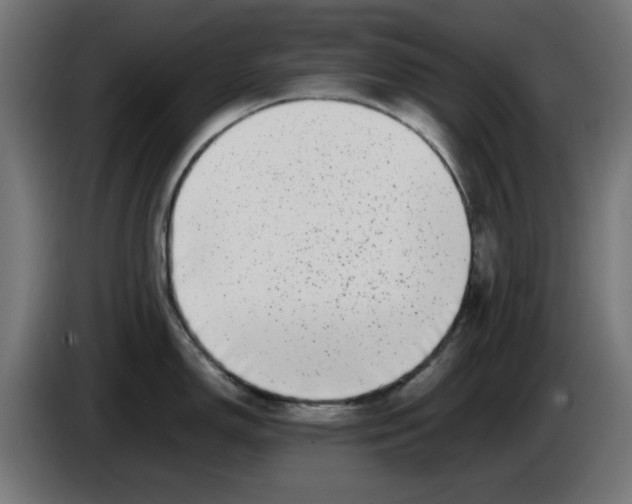 X0000086111150200704132203