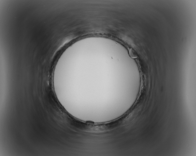 X0000086111165200704132203