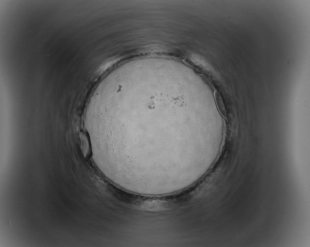 X0000086111169200704132203