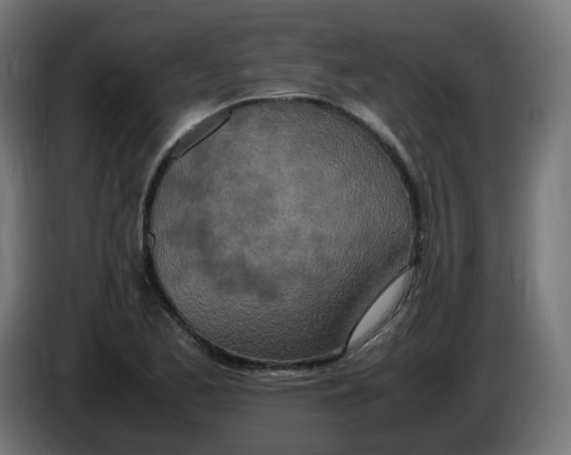 X0000086111173200704132203