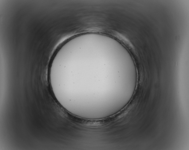 X0000086111174200704132202