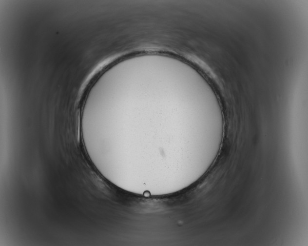 X0000086111175200704132202