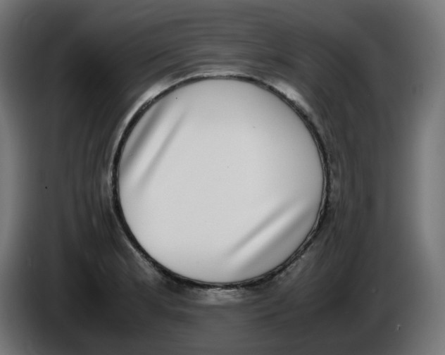 X0000086111181200704132202