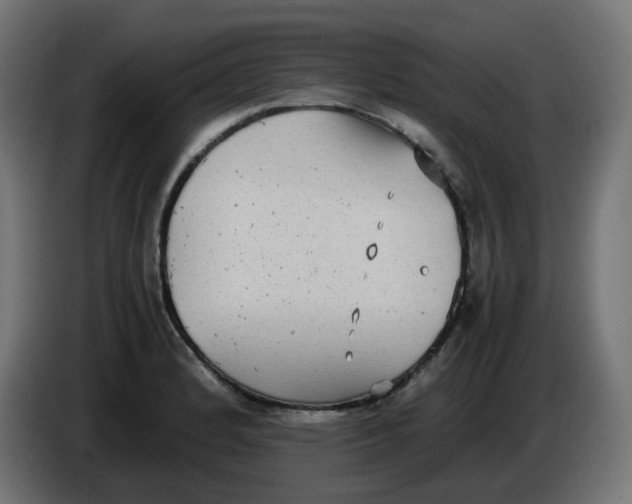 X0000086111184200704132202