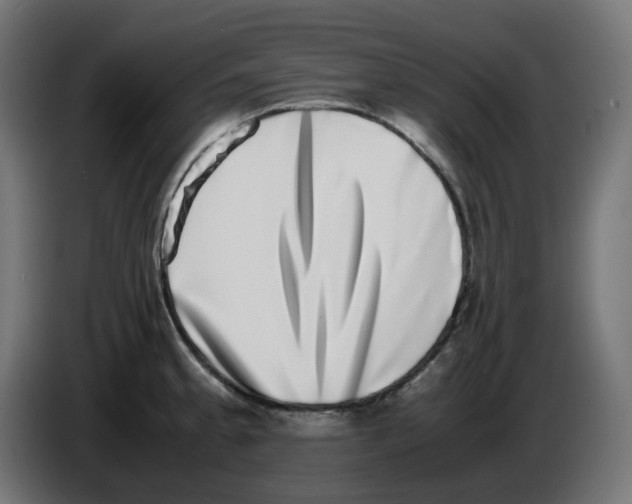 X0000086111189200704132202