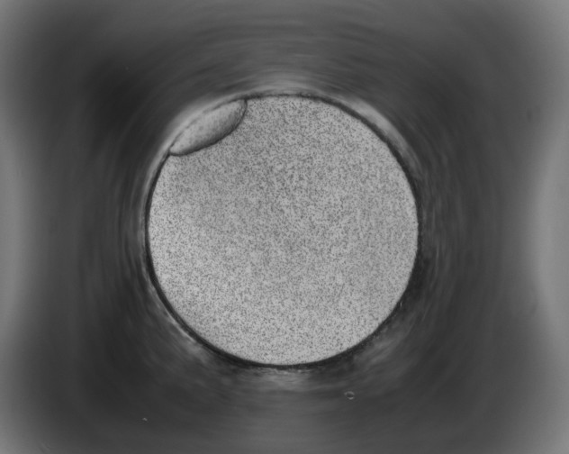 X0000086111191200704132202