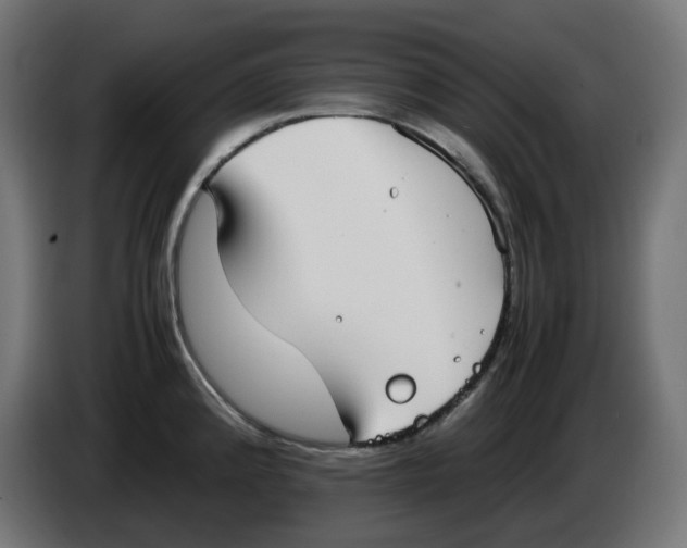 X0000086111192200704132202