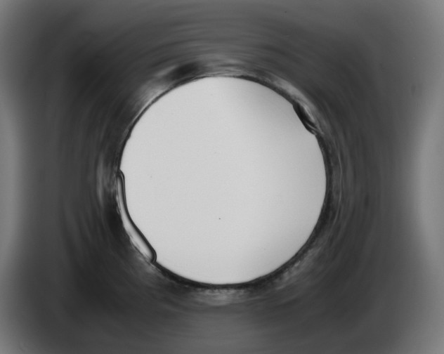 X0000086111193200704132202