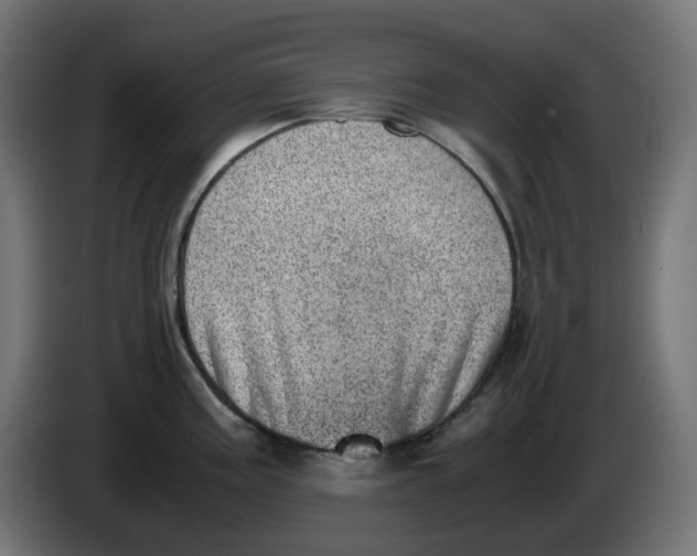 X0000086111195200704132202