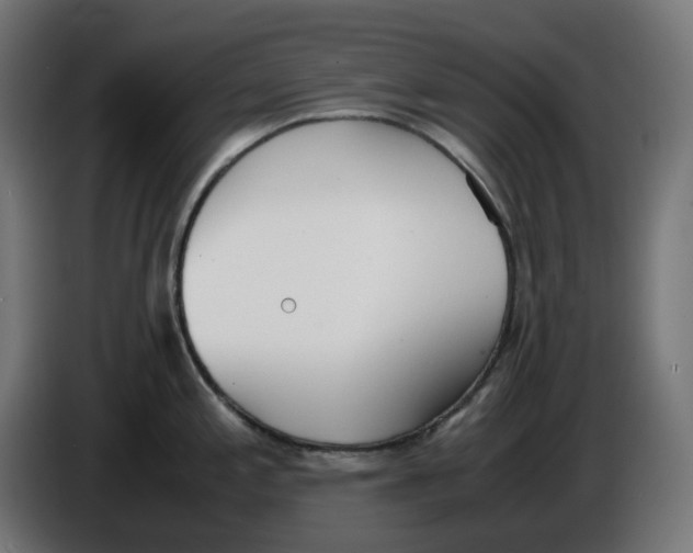 X0000086111197200704132202