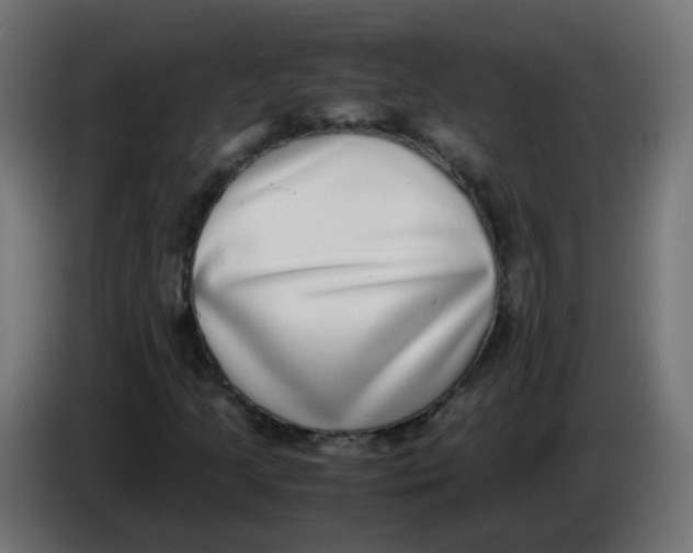 X0000086111205200704132202