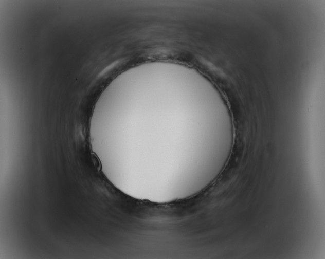 X0000086111206200704132202