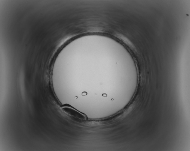 X0000086111212200704132202