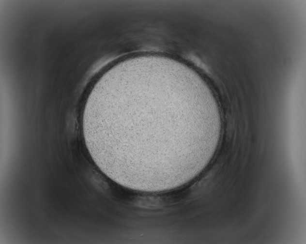 X0000086111215200704132202