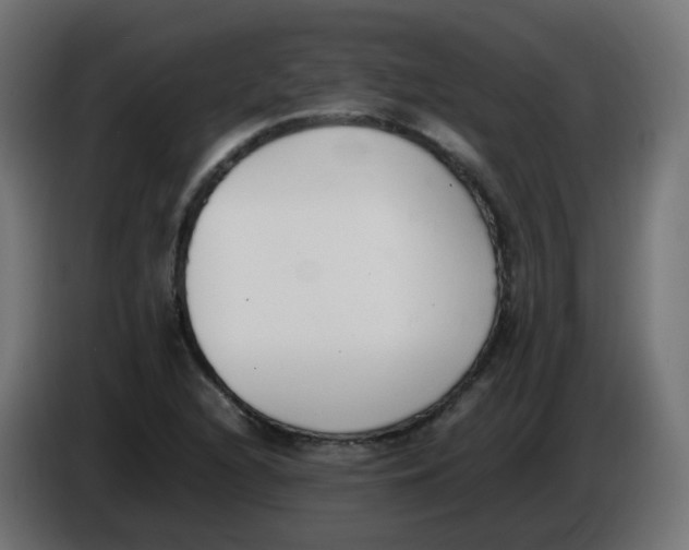 X0000086111216200704132202