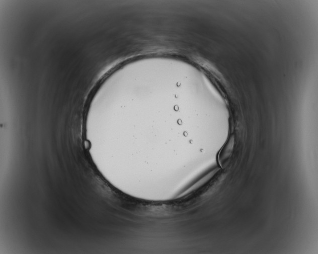 X0000086111220200704132202