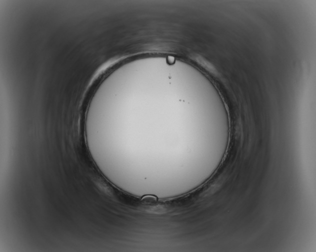 X0000086111222200704132202