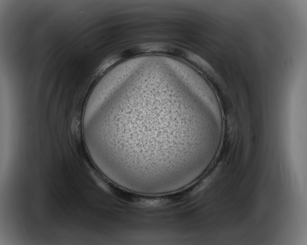 X0000086111225200704132202