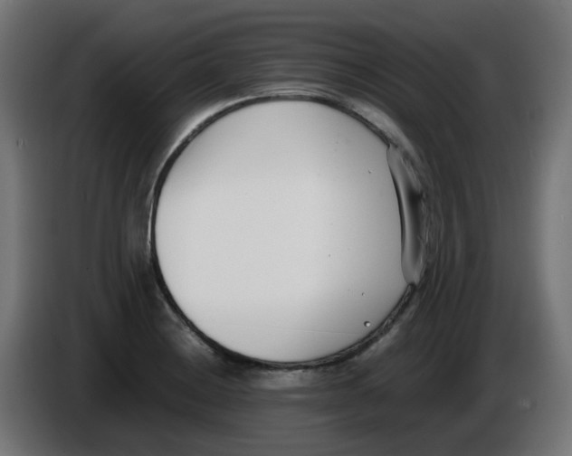 X0000086111228200704132202