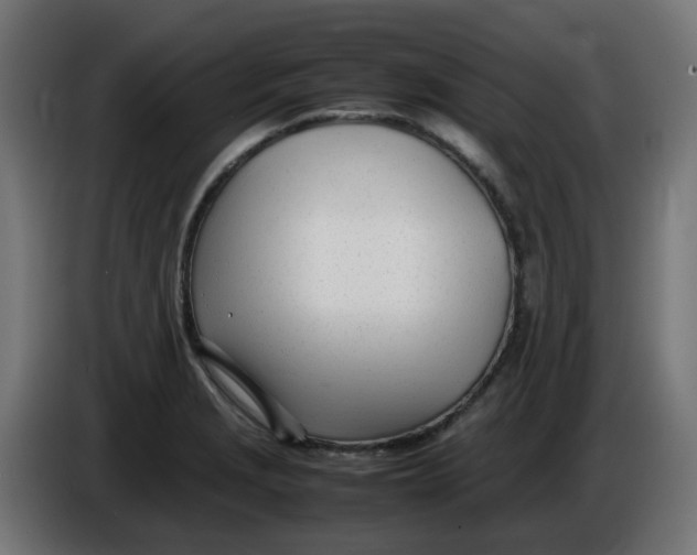 X0000086111229200704132202