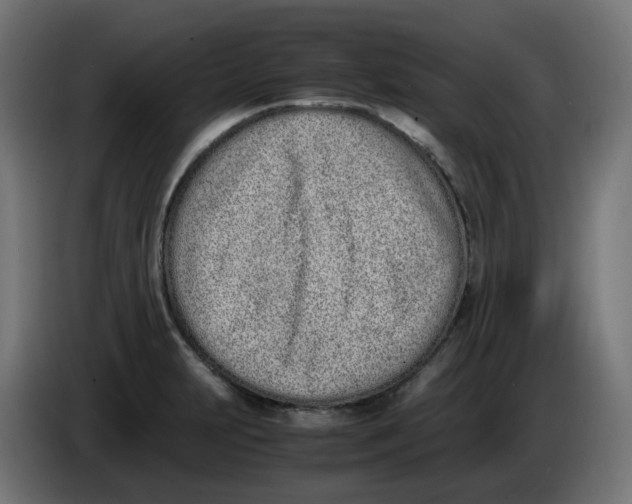 X0000086111231200704132202