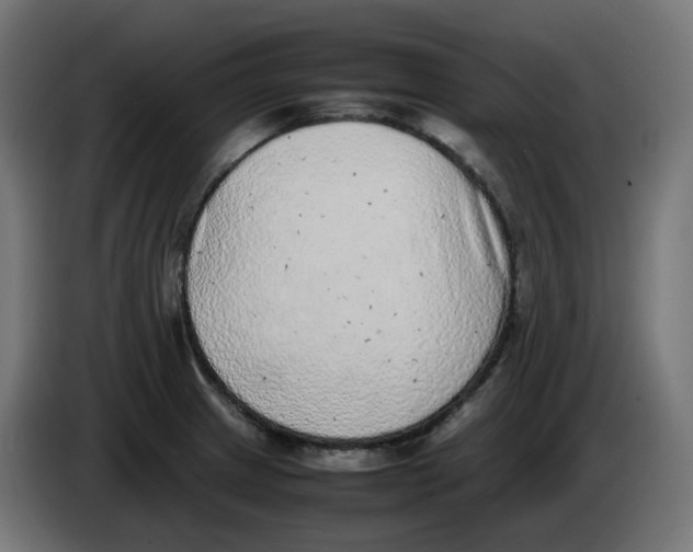 X0000086111233200704132202