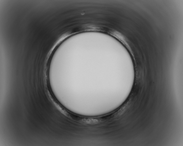 X0000086111235200704132202