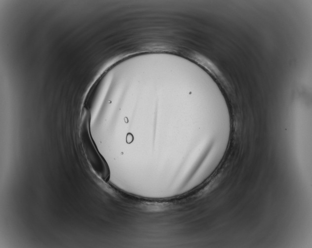 X0000086111236200704132202