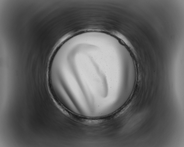 X0000086111237200704132202