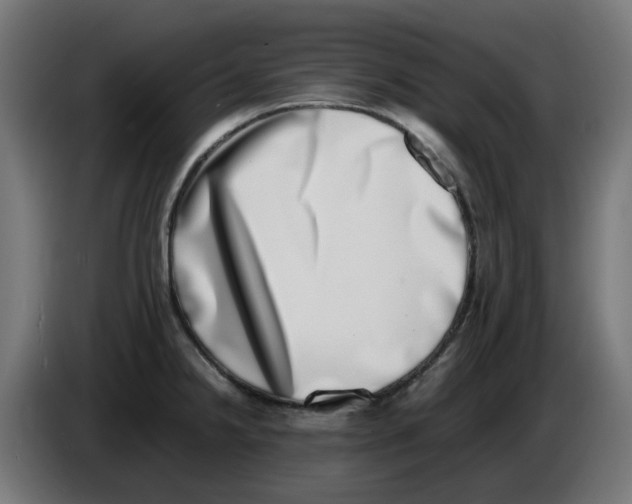 X0000086111238200704132202