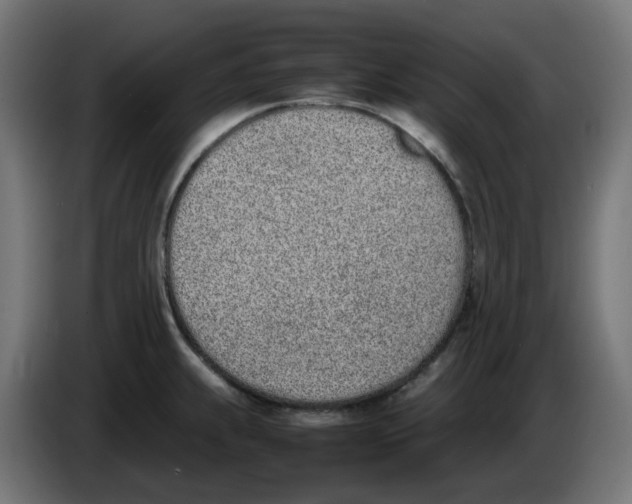 X0000086111239200704132202