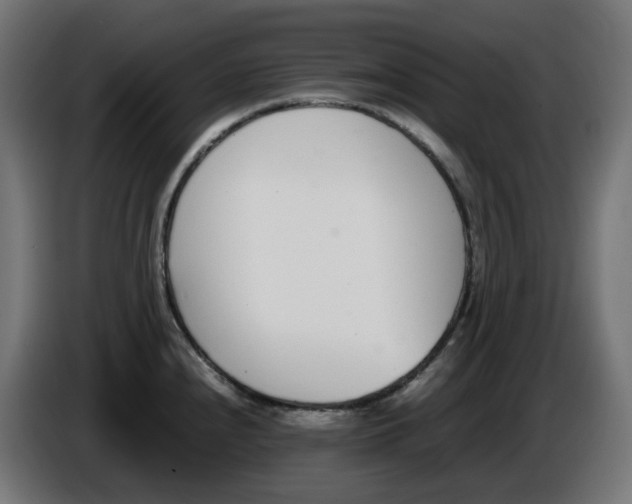 X0000086111240200704132202