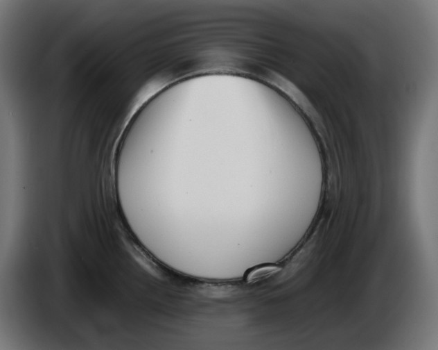 X0000086111242200704132202