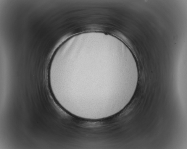 X0000086111243200704132202