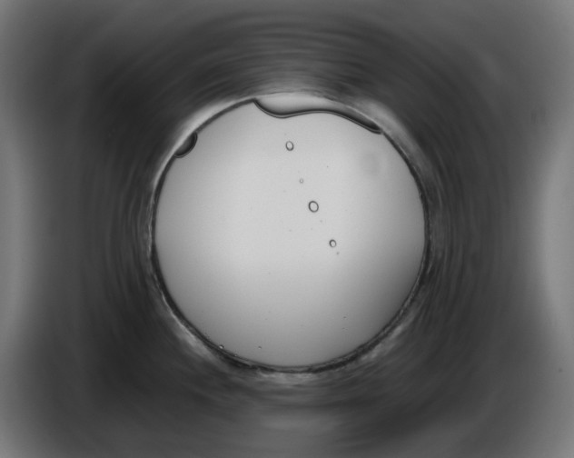 X0000086111244200704132202