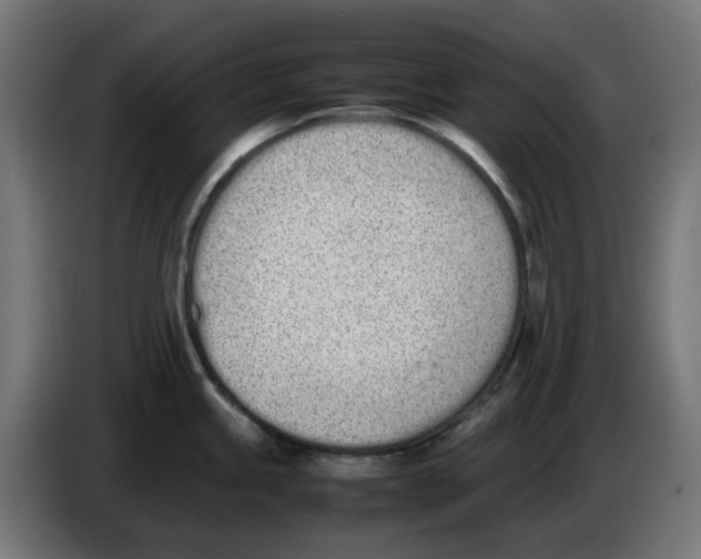 X0000086111245200704132202