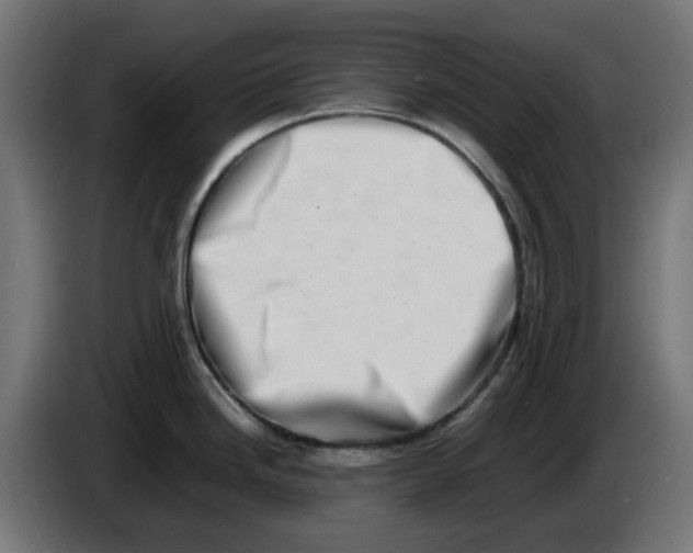 X0000086111246200704132202