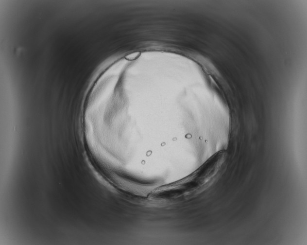 X0000086111247200704132202