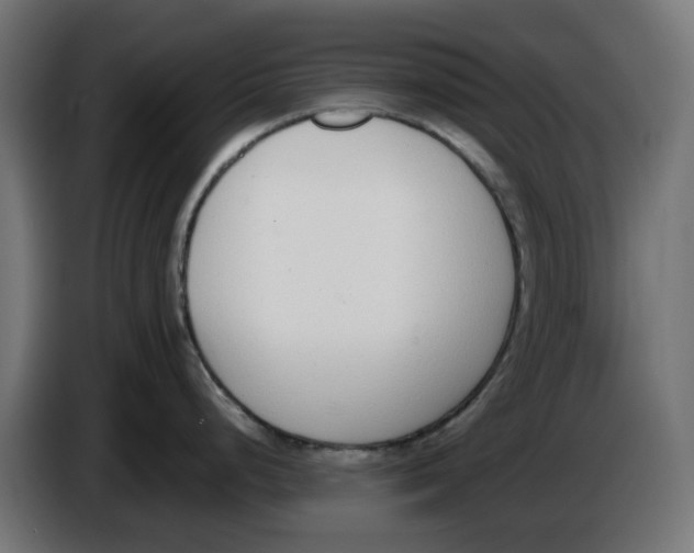 X0000086111248200704132202