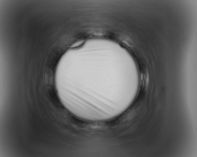 X0000086111251200704132201