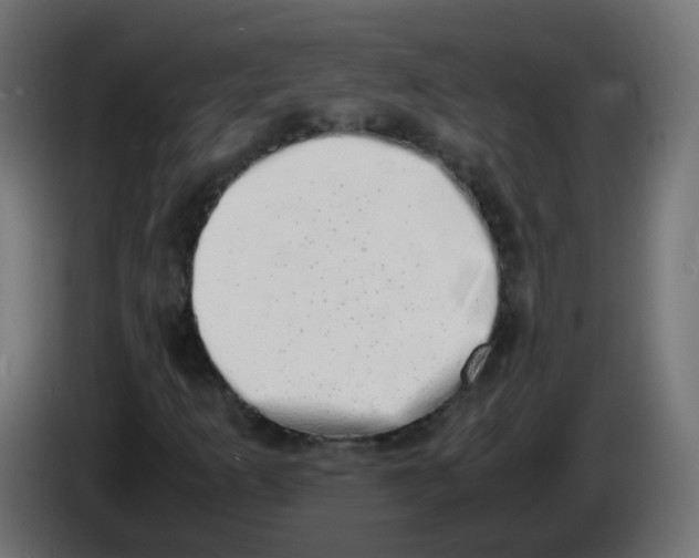 X0000086111253200704132201