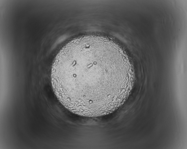 X0000086111255200704132201